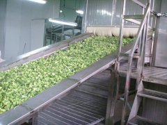 隧道沖擊式網帶速凍設備速凍機